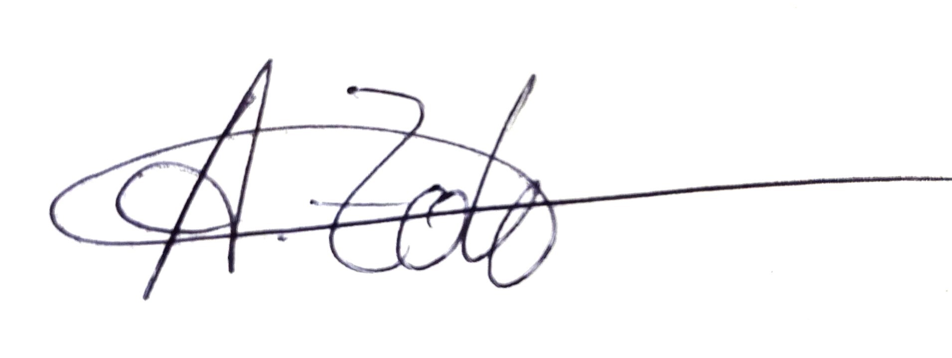 Unterschrift (eingescannt)